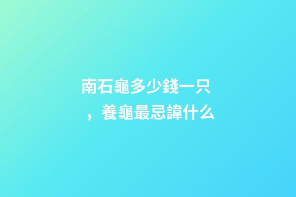 南石龜多少錢一只，養龜最忌諱什么